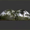 Big Tree CG Tree Cartoon Tree Cartoon Tree CG Big Tree Cartoon Big Tree Cartoon Big Tree Plants 3d model