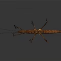Brown Stick Insect With Long Body And Slender Legs On Dark Background