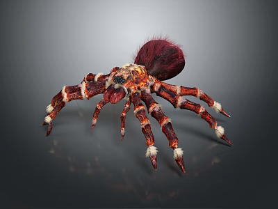 Colorful Spider With Red Furry Abdomen And Striped Legs With White Tips 3d model