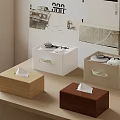 Beige White Light Wood And Dark Brown Tissue Boxes On Table With Poster 3d model