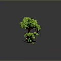 Green Plants Arrangement With Main Tree And Smaller Trees In Landscape