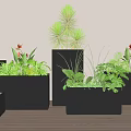 Various Green Plants And Flowers In Black Planters Against White Wall On Wooden Floor