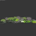 Lush Plant Combination With Assorted Green Foliage And Mixed Leaf Textures