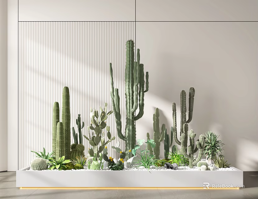 Bonsai Potted Plants with Various Cacti and Succulents in White Planter Against Light Colored Wall 3d model 