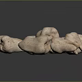 Pale Pink Head Organ Anatomical Models With Red Markings Irregular Shapes On Dark Reflective Background