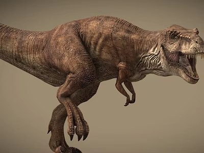 Tyrannosaurus Rex Dinosaur Carnivorous Dinosaurus 3d model