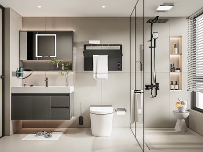 Modern Bathroom Interior Design With Glass Shower Vanity Toilet And Mirror 3d model