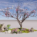Charming Garden Decor with Pink Flowering Tree Rockery Small Pink Flowers and Green Plants