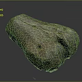 Biological Organ With Hair Featuring Rough Textured Surface And Natural Structure Details