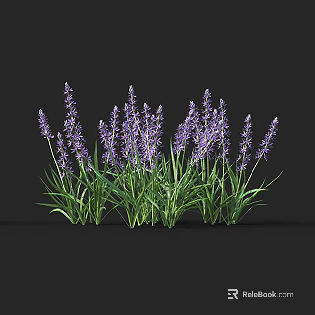 Beautiful Purple Lavender Flowers With Green Stems In Natural Setting 3d model 