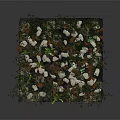 Natural Rustic Groundscape Design With White Stones Green Grass And Plants