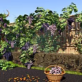 Grapevine Shrub with Green Leaves and Purple Grapes Against Bamboo Fence and Stone Wall