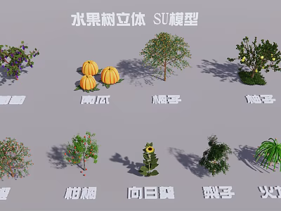 Modern Tree Fruit Tree Vine Pumpkin Orange Citrus Tree Tak Tree Dragon Fruit Tree Pear Tree Sunflower 3d model