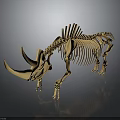 3D Rhinoceros Skeleton Model With Long Vertebrae Two Horns On Black Background With Reflection