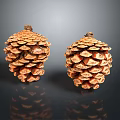 Two Detailed Natural Pine Cones Displaying Brown Texture On Dark Background With Reflection