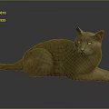 Relaxed Gray Cat Lying Down on Black Surface with Yellow Eyes
