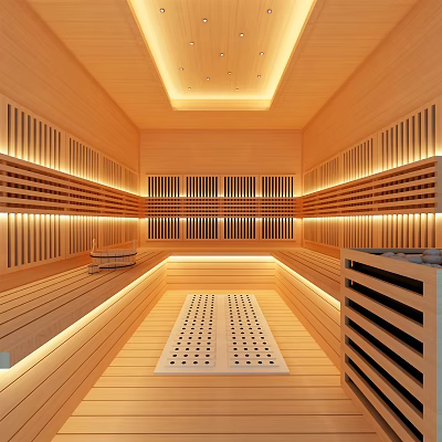 Modern SPA Sauna Interior Design With Wooden Benches And Recessed Lighting 3d model