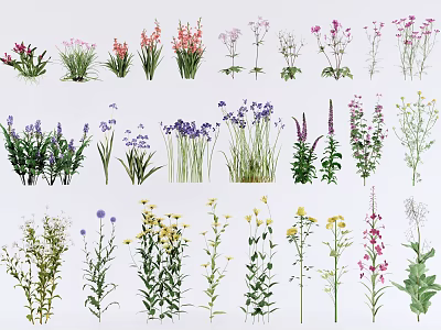 Assorted Colorful Garden Flowers And Herbs With Diverse Species And Foliage 3d model