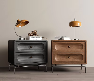 Black and Brown Nightstands with Table Lamps Books Pine Cones and Two Drawers 3d model