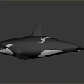 Blue Shiny Orca Marine Animal Model With Open Mouth And Detailed Fins