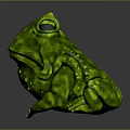 Green Frog 3D Model With Shiny Surface Bumpy Texture And Large Black Eyes
