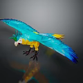 Blue Yellow Parrot With Green Crest White Head And Black Claws Spread Wings Dark Background