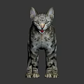 Realistic Gray Striped Reptile Standing On Black Reflective Background Surface
