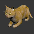 Realistic Orange Cat With Yellow Eyes Lying On Black Surface And Reflection 3d model