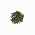 Decorative Ornament Set with Large Green Tree Model and Small Figure Miniature Scene Decoration