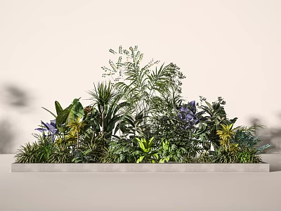 Various Green Plants And Purple Flowers With Diverse Leaf Shapes In White Rectangular Planter 3d model