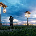 Outdoor Decorative Lights Illuminating Dusk Sky With Clouds And Green Plants Around