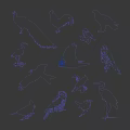 Flying Animals Silhouettes In Green Blue Gradient On Black Background With Various Species