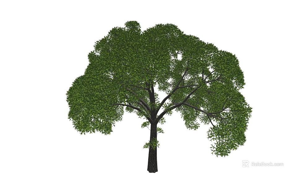 Mature Arbor With Dense Green Foliage And Broad Spreading Canopy 3d model 