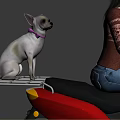 Woman Joyfully Riding Red Scooter With Small Dog On Back Seat