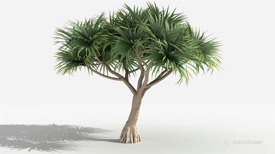Lush Tree With Feathery Green Leaves Brown Trunk And Thick Roots 3d model 