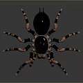 Realistic 3D Spider Model Featuring Black Body And Orange Striped Legs 3d model