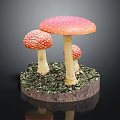Modern mushroom straw mushroom poisonous mushroom 3d model