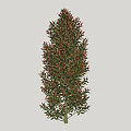 Tall Arbor with Green Leaves and Pink Flowers in Lush Foliage