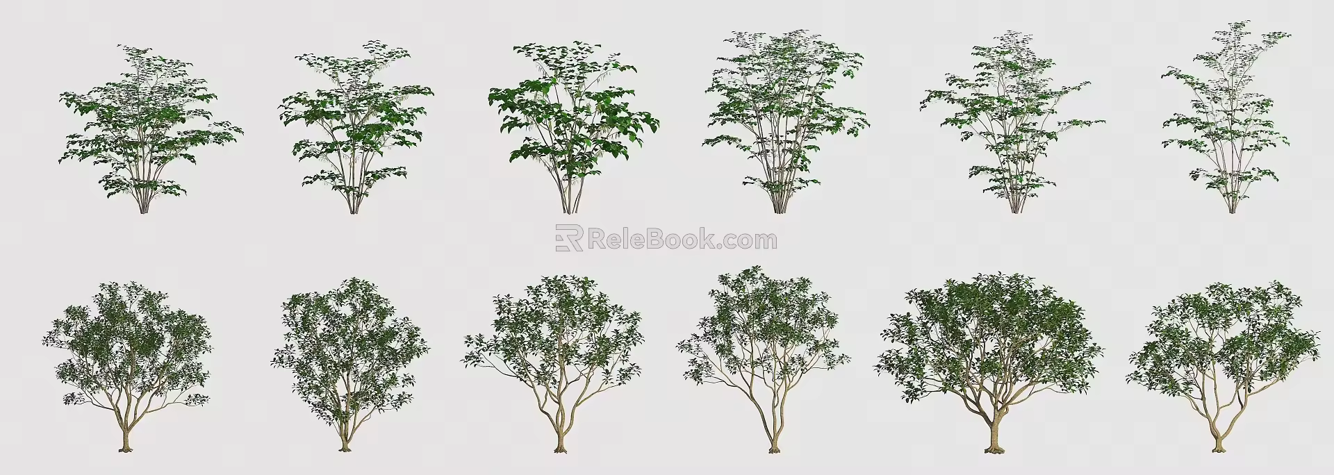 Trees Landscape Trees Street Trees Greening Trees 3d model