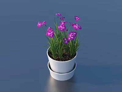 Potted Plant with Purple Flowers and Green Leaves in White Double Layered Pot 3d model