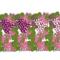 Beautiful Flower Rack Adorned With Purple Pink White Flowers And Green Leaves