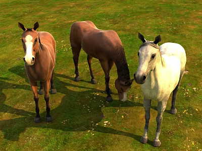 Three Horses Grazing And Standing On Lush Green Grassland With Different Colors 3d model