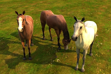 Grassland Horses 3d model