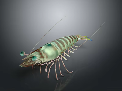 Detailed 3D Rendered Shrimp Featuring Green Brown Stripes Long Antennae Transparent Body On Black Background 3d model