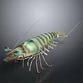 Detailed 3D Rendered Shrimp Featuring Green Brown Stripes Long Antennae Transparent Body On Black Background