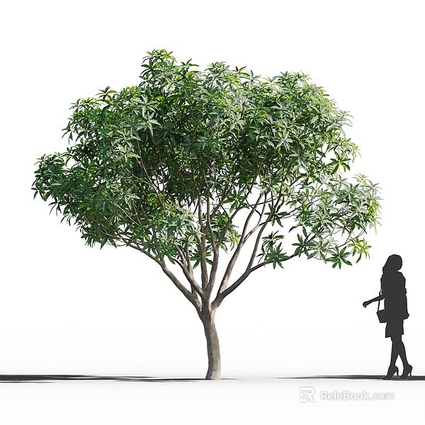 Tall Lush Arbor With Dense Green Foliage Straight Trunk And Person Silhouette Beside 3d model 