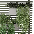 Vertical Hanging Potted Plants With Lush Green Leaves On Striped Wall Design