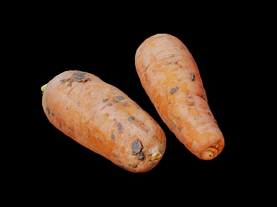 Two Fresh Orange Carrots With Soil And Natural Texture On Black Background 3d model