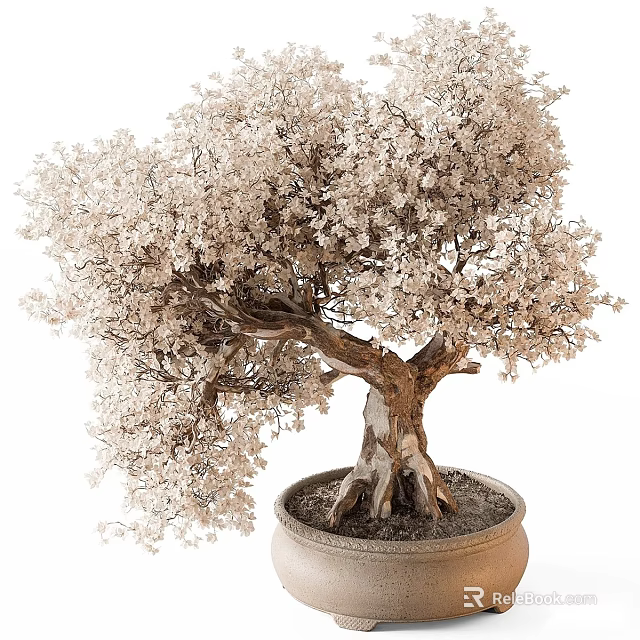 Beautiful Bonsai Tree With White Flowers Textured Trunk Exposed Roots And Decorative Pot 3d model 