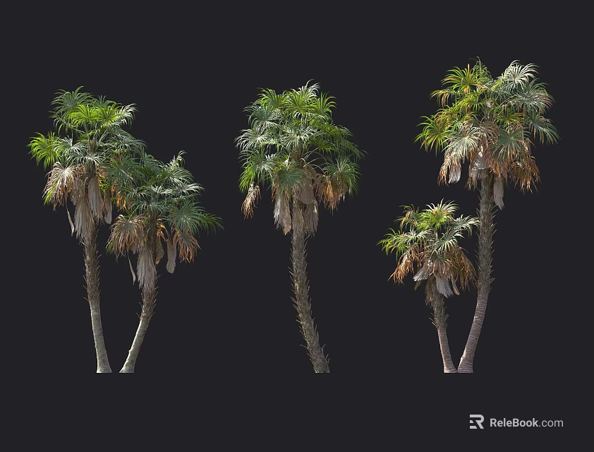 Tall Palm Trees With Green Leaves And Trunks On Black Background 3d model 